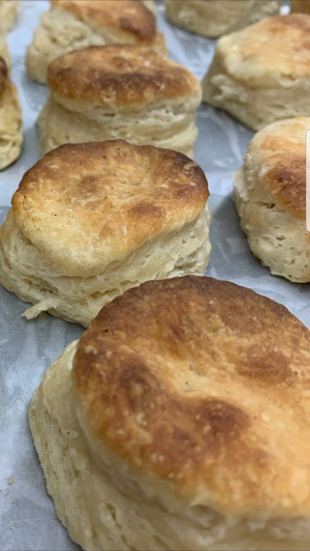 Angel Biscuits – A Cross Between a Buttermilk Biscuit and A Parker House Roll (2 biscuits)