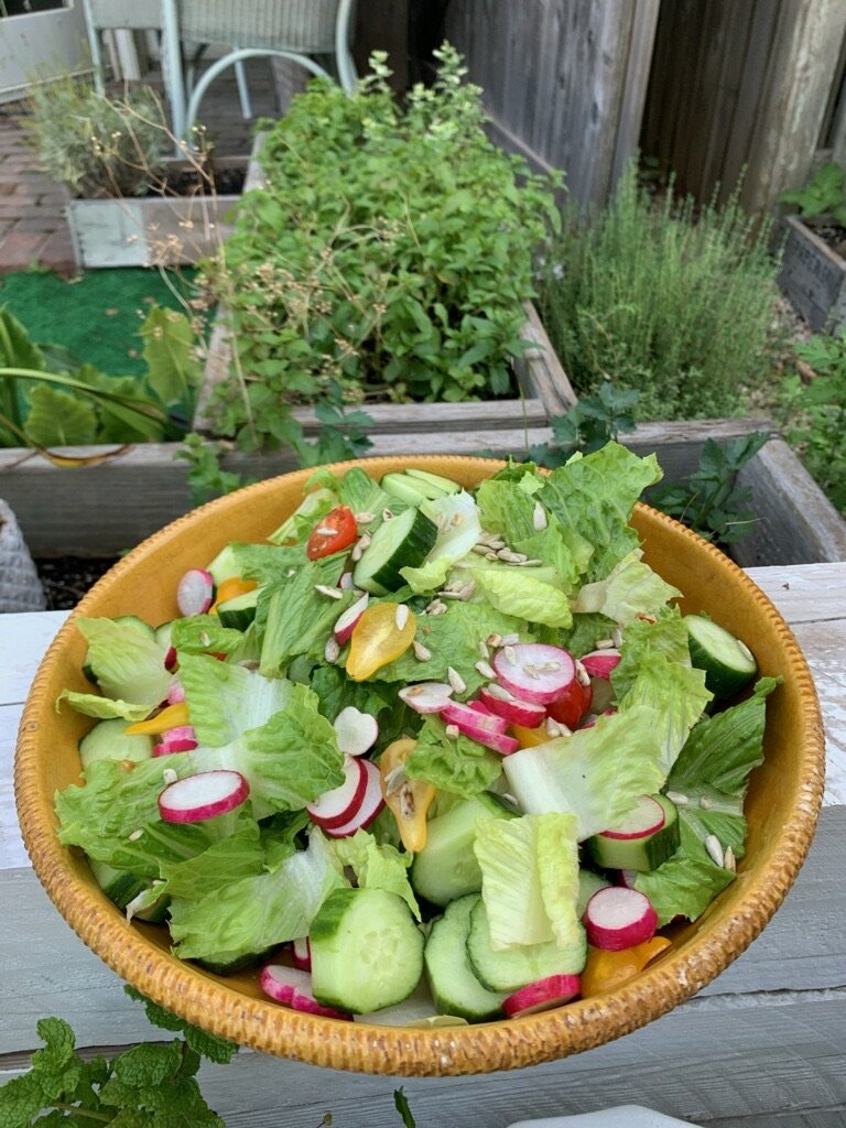 Salad of Not So Simple Greens - Autumn Greens, Cucumber, Radish, Endive - Sherry Vinaigrette